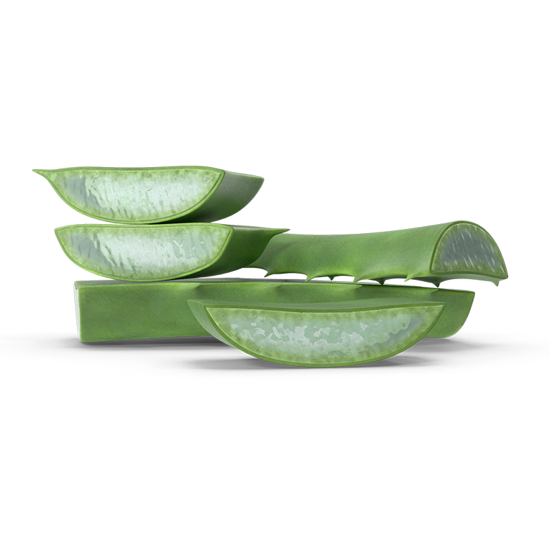 aloe
